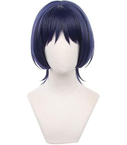 Amazon.co.jp: HIROAKIYA タルタリヤ ウィッグ 原神 タルタリヤ